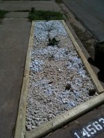 IMG_0258.jpg