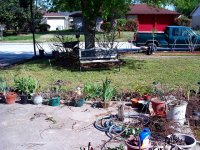 tn_gardening038.JPG