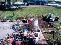 tn_gardening037.JPG