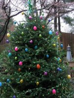 Easter Egg tree 003 (2)  EM.jpg