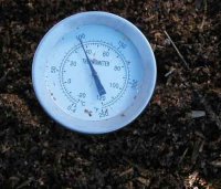manure-temp-4-10.jpg