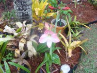 DSC00411.JPG
