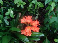 DSC00412.JPG