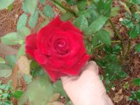 DSC00421.JPG