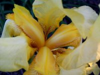 tn_gardening004.JPG