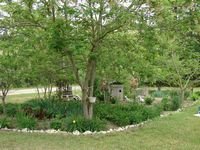tn_April 24, flowers & dogs 054.JPG