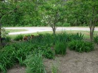 tn_April 24, flowers & dogs 049.JPG