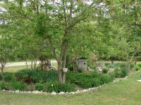 tn_April 24, flowers & dogs 054.JPG