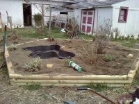 yard april 2010.jpg