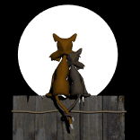 06_kat.gif