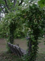 Flowers -10 004.JPG