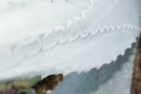 Guess 5.JPG