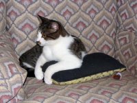 smudge on chair 003 (2)  EM.jpg