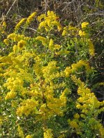 IMG_2643 (2)  EM.jpg