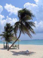 cayman 3 256 (2)  EM.jpg