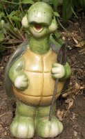 turtle.jpg