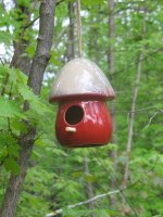 IMG_0511.jpg
