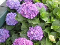 DSCN1362 (Small).JPG