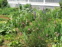 Flower bed 1.jpg