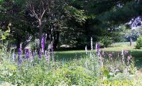 100_0582.jpg
