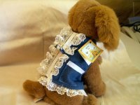 Blue jean Harness.jpg