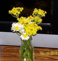 Flowers from Hannah.jpg