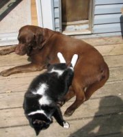 Cat and Ellie 001 (2)  EM.jpg
