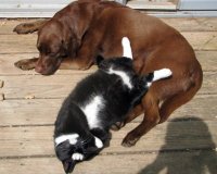 Cat and Ellie 004 (2)  EM.jpg