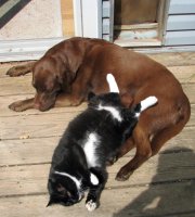 Cat and Ellie 003 (2)  EM.jpg