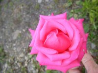 all pictures 012.jpg
