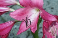 DSC03508.jpg