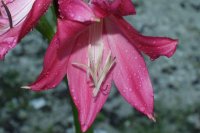 DSC03509.JPG