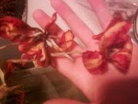 daylilies.jpg