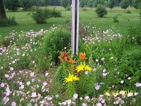 Flower bed 2.jpg