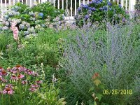 Flower Bed 02.jpg