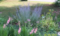 Flower Bed 03.jpg
