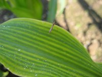 IMG_0163.jpg