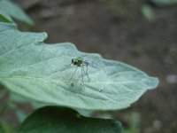IMG_0170.jpg