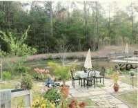 back yard pond.jpg