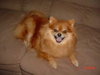 Honey 003.JPG