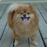 Honey 009.JPG