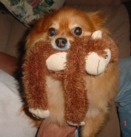 Honey 004.JPG