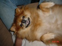 Honey 001.JPG