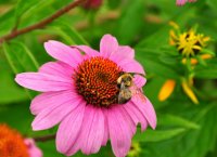 DSC_1470.jpg