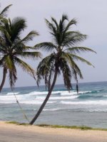 cayman 3 148 (2)  EM.jpg