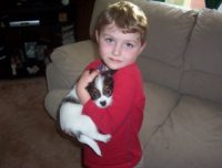 resized gracie 2.jpg