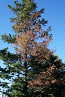 000_0005_00.jpg
