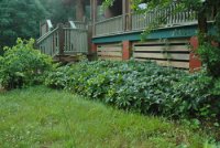 FrontPorchBed.jpg
