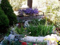 Pond 11.jpg
