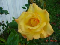 Fall 2010 021.JPG